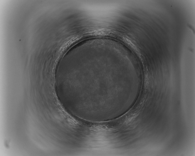 X0000101970673200807251212