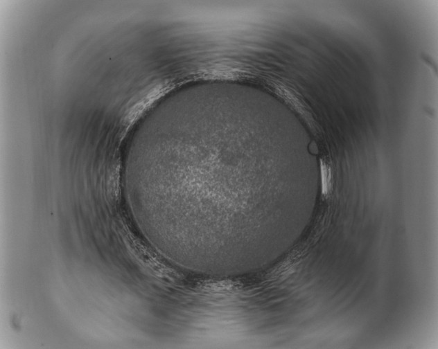 X0000101970675200807251211