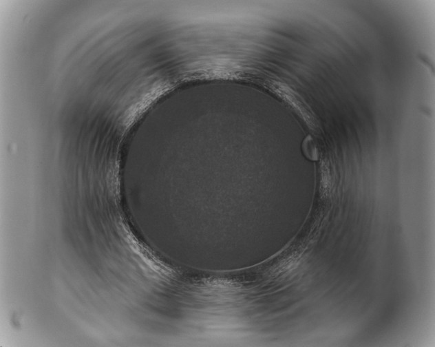 X0000101970677200807251211