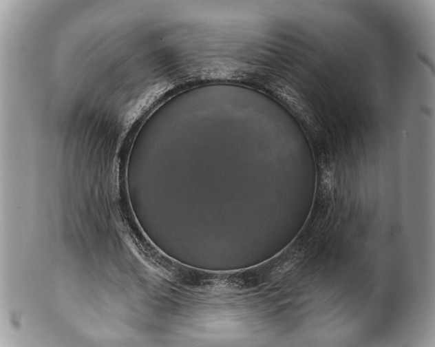X0000101970678200807251211