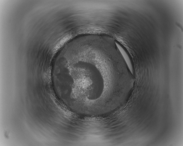 X0000101970679200807251211