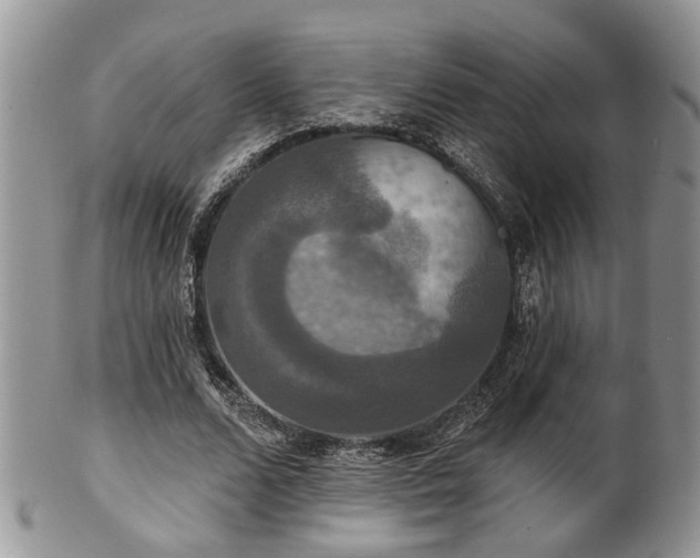 X0000101970680200807251211