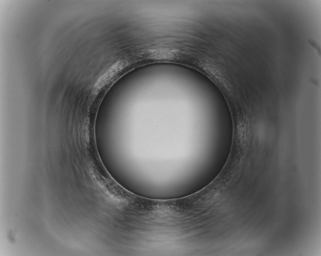 X0000101970682200807251211