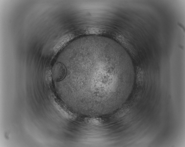 X0000101970683200807251211