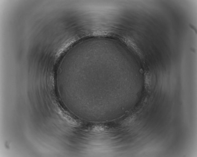 X0000101970684200807251211