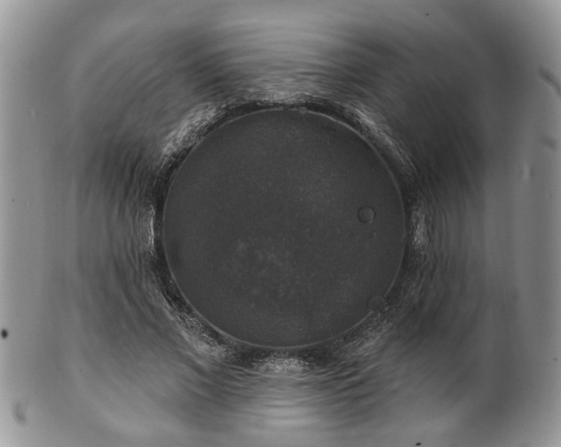 X0000101970685200807251211