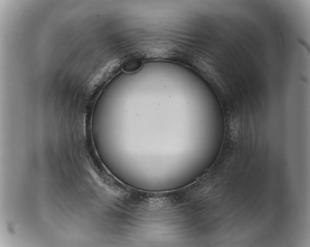 X0000101970686200807251211