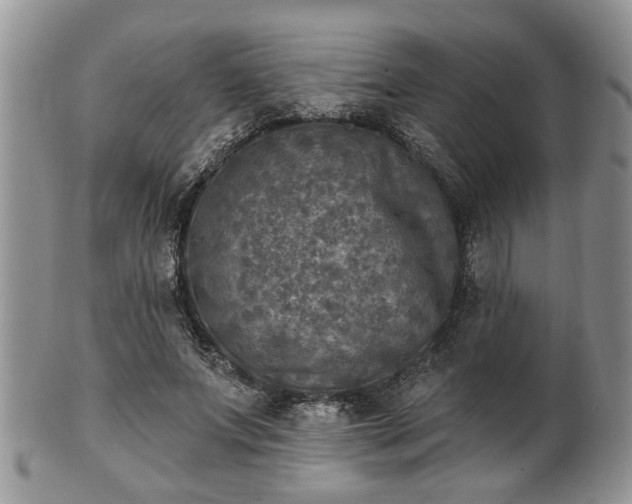 X0000101970687200807251211