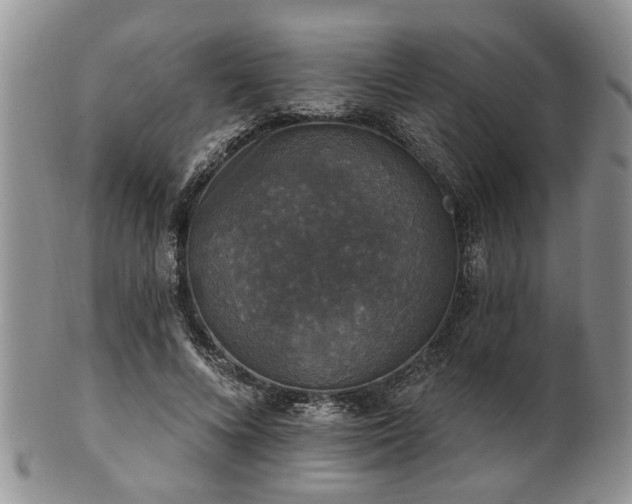 X0000101970688200807251211