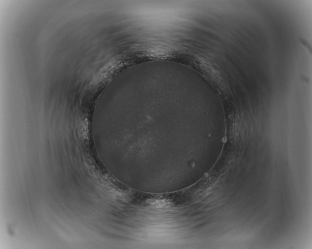 X0000101970689200807251211