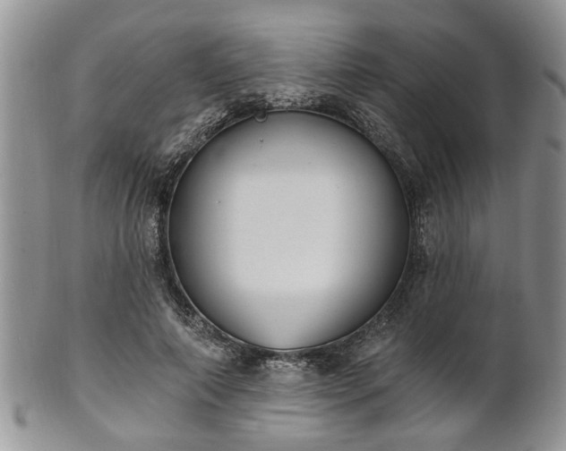 X0000101970690200807251211