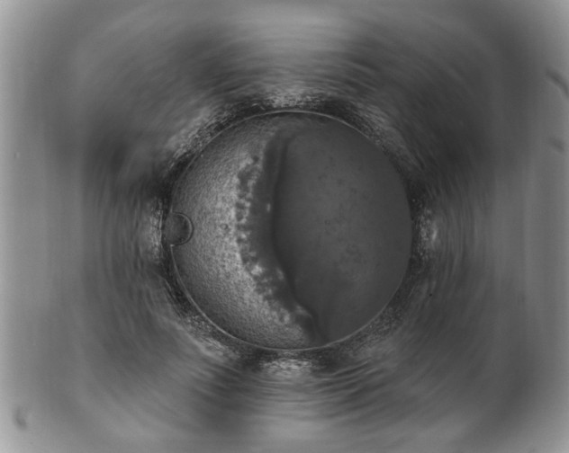 X0000101970691200807251211