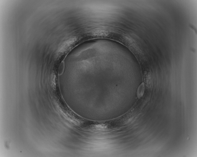 X0000101970692200807251211