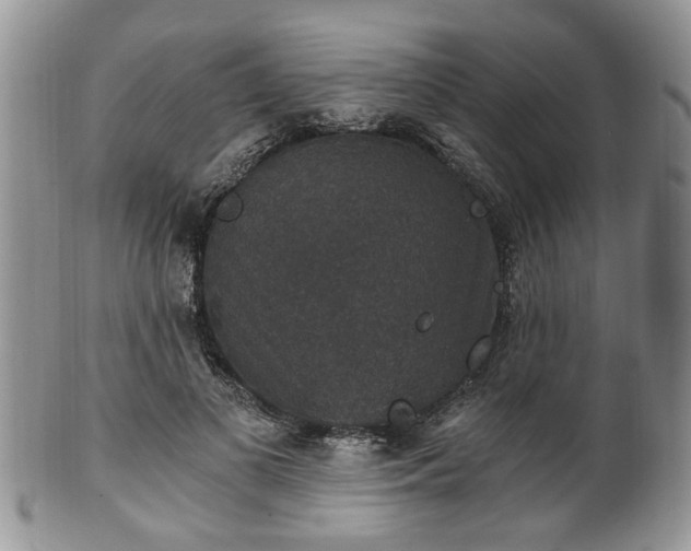 X0000101970693200807251211