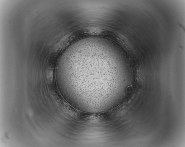 X0000101970697200807251211