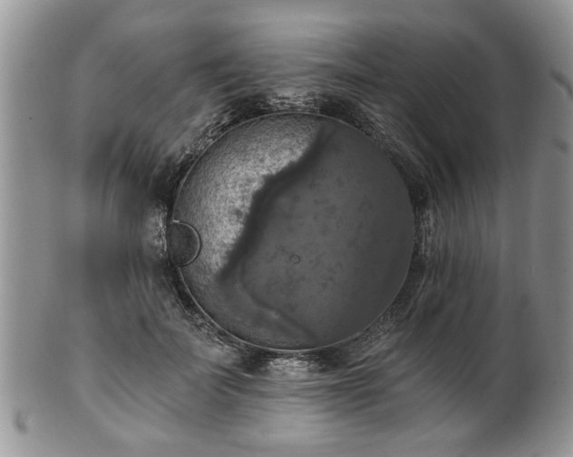 X0000101970699200807251211