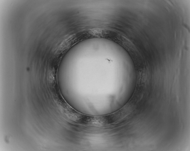 X0000101970702200807251211