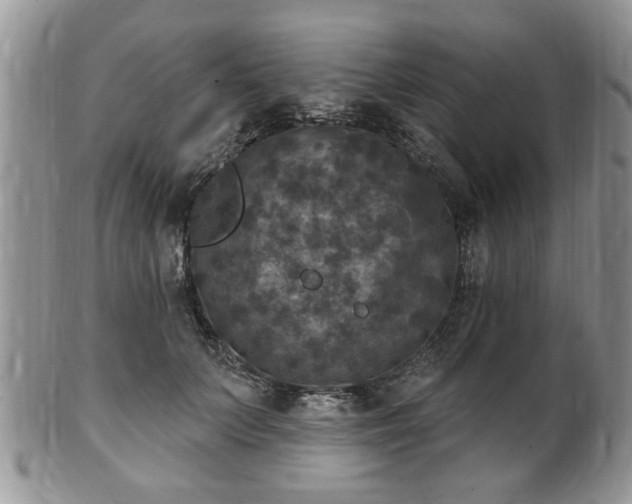 X0000101970703200807251211