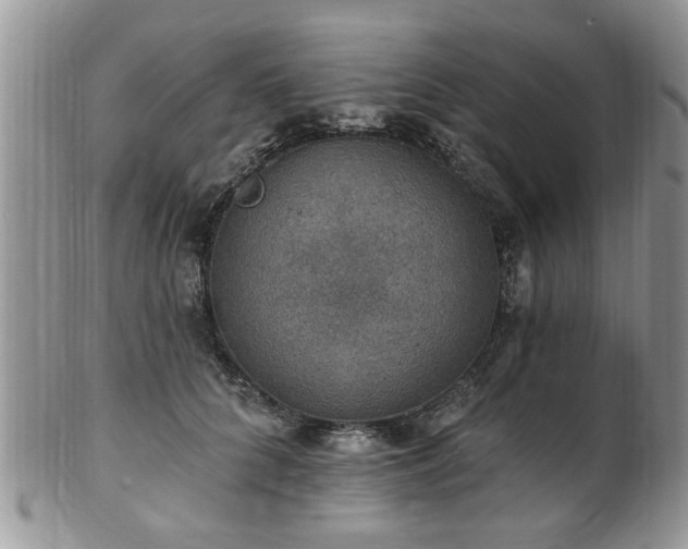 X0000101970704200807251211
