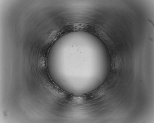 X0000101970706200807251211