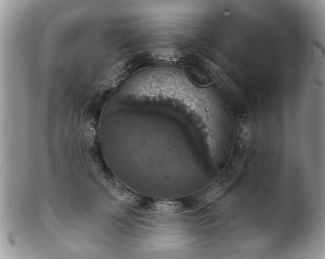 X0000101970707200807251211