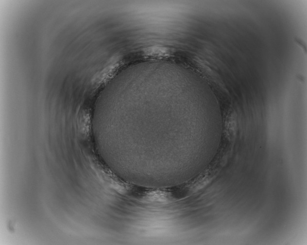 X0000101970708200807251211