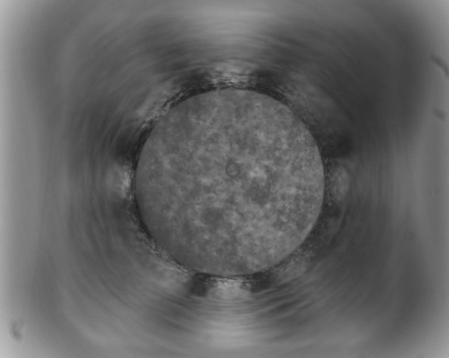 X0000101970709200807251211