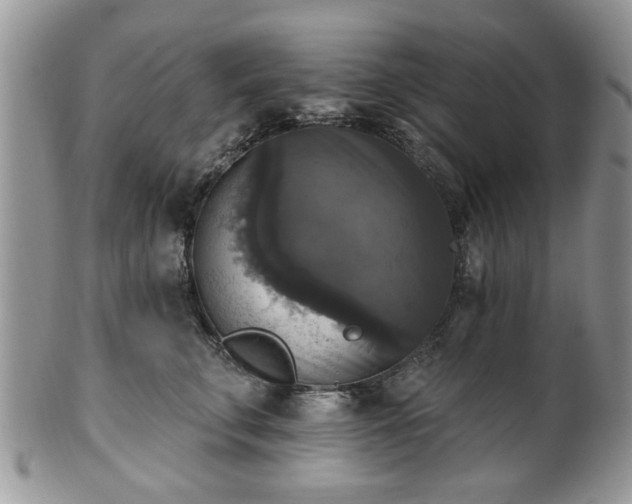 X0000101970711200807251211