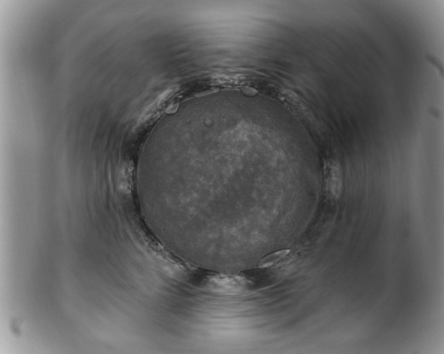 X0000101970712200807251211