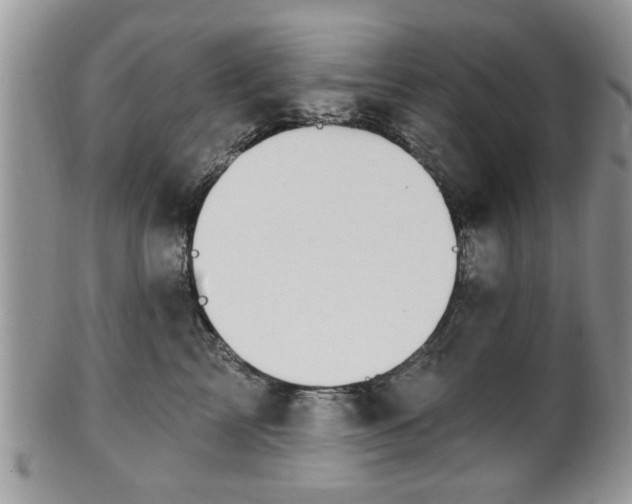 X0000101970713200807251211