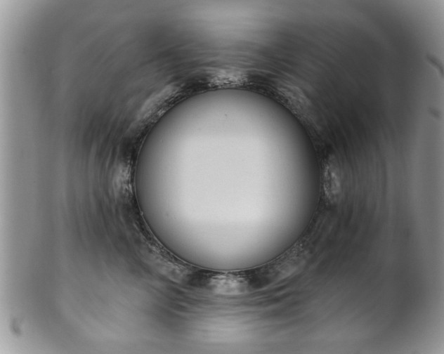X0000101970714200807251211