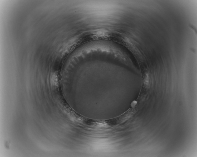 X0000101970715200807251211