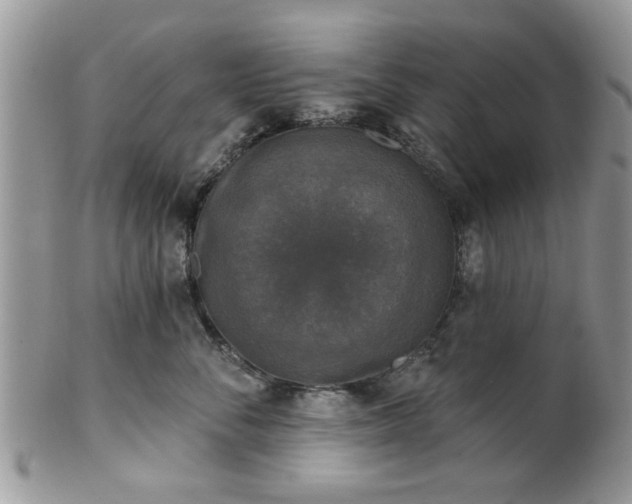 X0000101970716200807251211