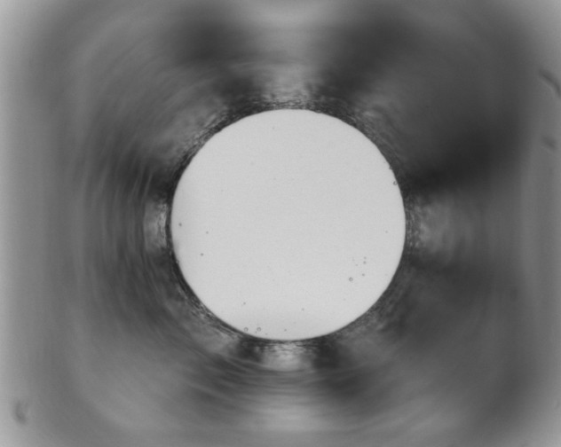 X0000101970717200807251211