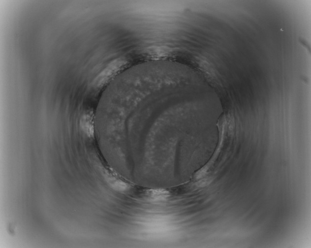 X0000101970719200807251211