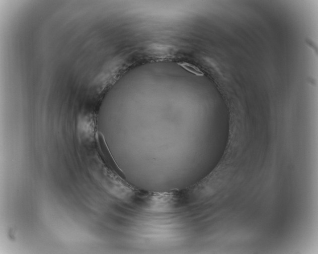 X0000101970720200807251211