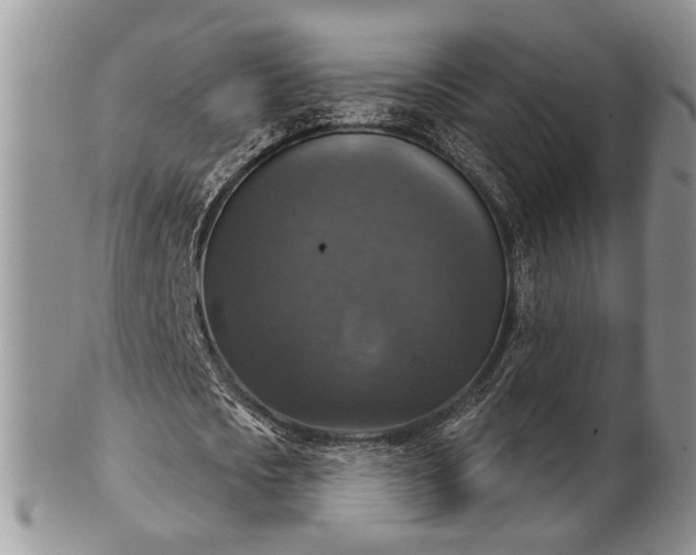 X0000101970721200807251210