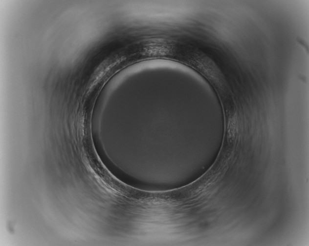 X0000101970722200807251210