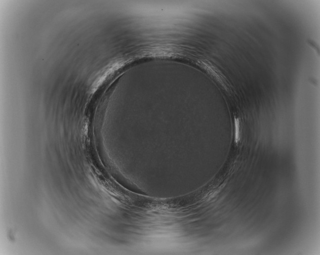 X0000101970723200807251210