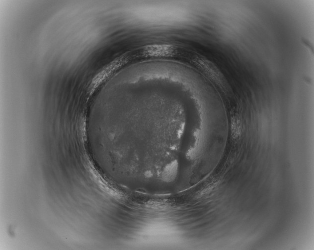 X0000101970725200807251210