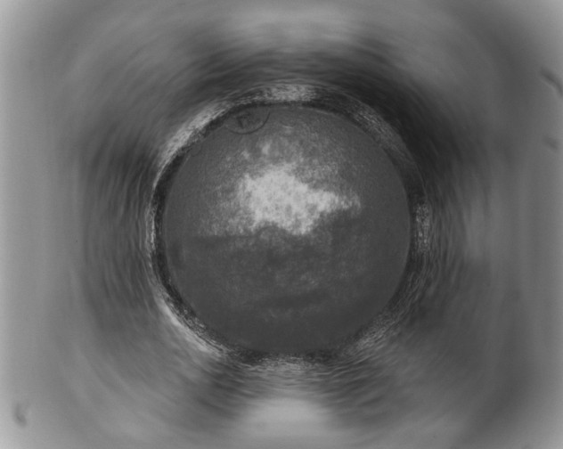 X0000101970726200807251210