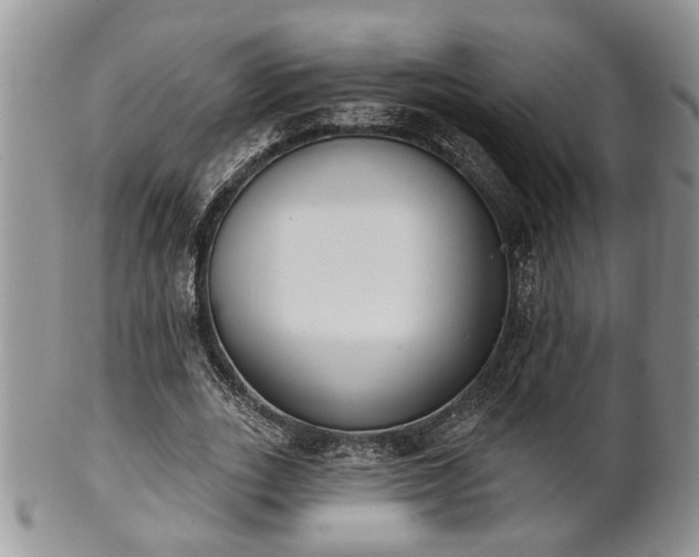 X0000101970727200807251210