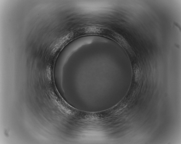 X0000101970729200807251210