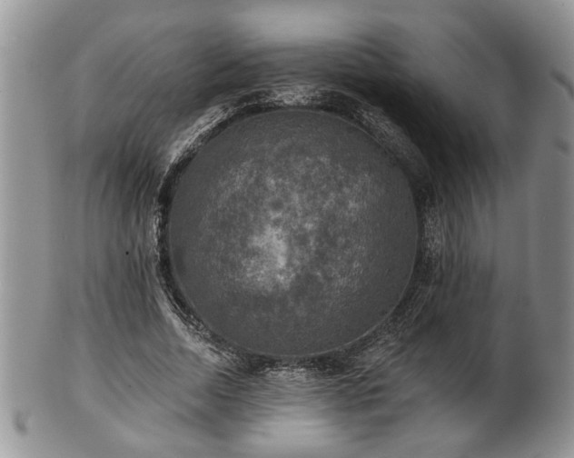 X0000101970730200807251210