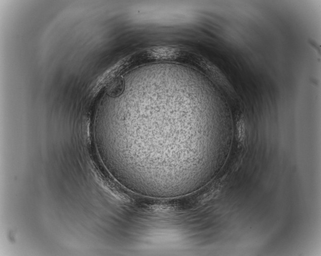 X0000101970733200807251210
