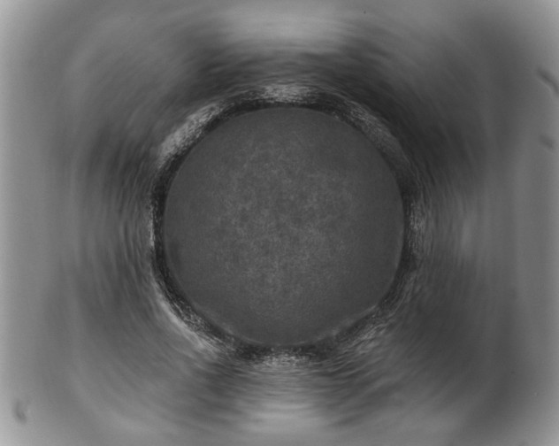 X0000101970734200807251210