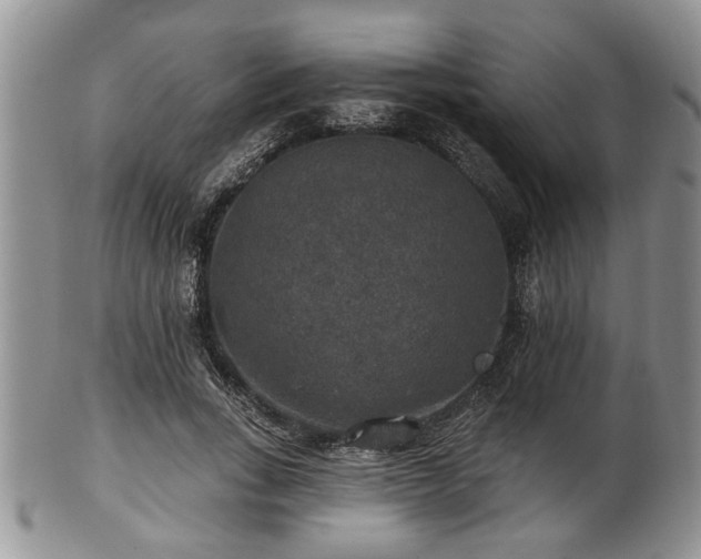 X0000101970735200807251210