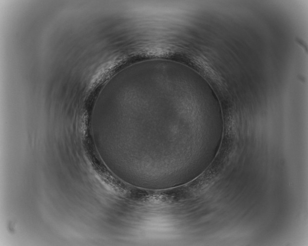X0000101970736200807251210