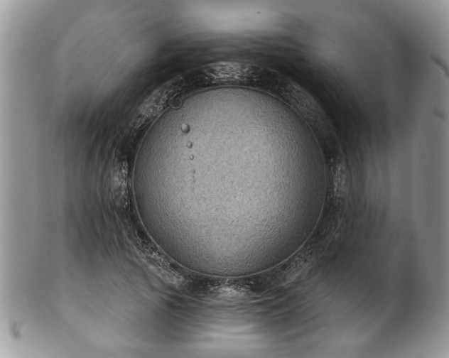 X0000101970737200807251210