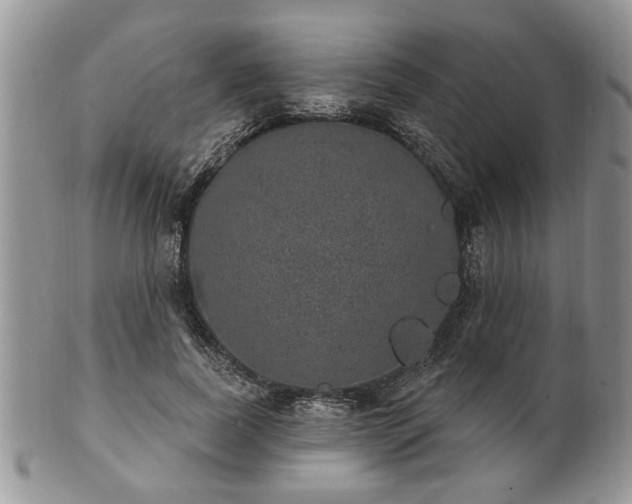 X0000101970739200807251210